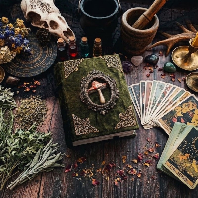 Forest witch grimoire for sale Green velvet mushrooms book of shadows 6×5 in 600 aged pages